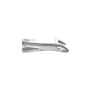pinza per estrazione denti veterinaria 1