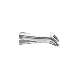 pinza per estrazione denti veterinaria 1