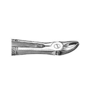 pinza per estrazione denti veterinaria 1