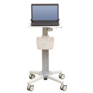 carrello informatico