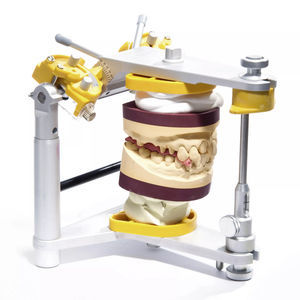 materiale odontoiatrico in gesso