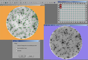 software per imaging cellulare