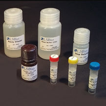 kit di test di fosfatasi alcalina