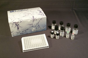 kit di test da ricerca 1