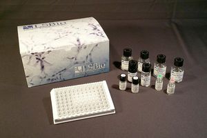 kit di test da ricerca