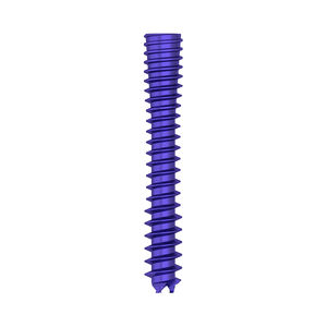 vite per compressione ossea generica 1