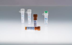 reagente DNA polimerasi