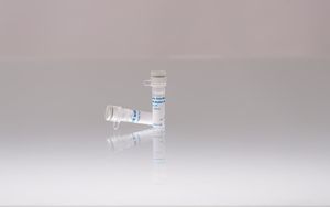 reagente DNA polimerasi