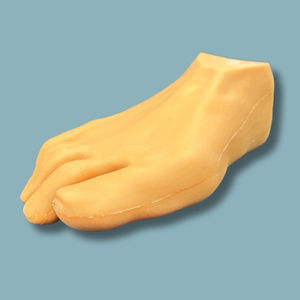 modello anatomico di piede