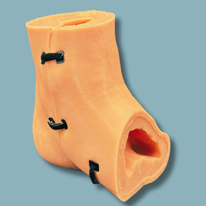 modello anatomico di pelle
