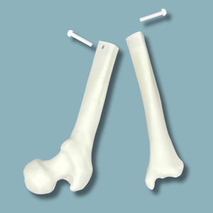 modello anatomico per ginocchio
