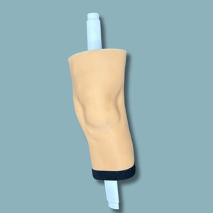 modello anatomico per ginocchio