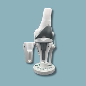 modello anatomico per ginocchio
