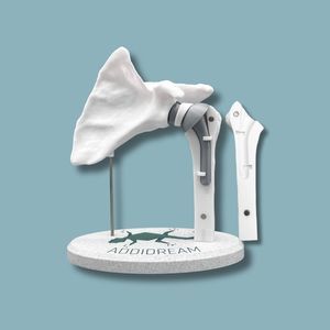 modello anatomico di spalla