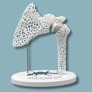 modello anatomico di spalla