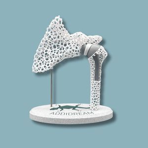 modello anatomico di spalla