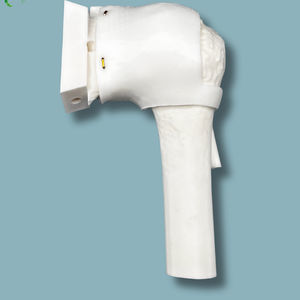 modello anatomico di spalla
