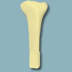 modello anatomico di tibia