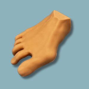 modello anatomico di piede