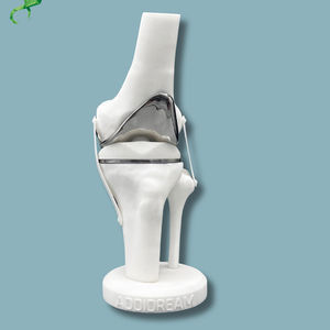 modello anatomico per ginocchio