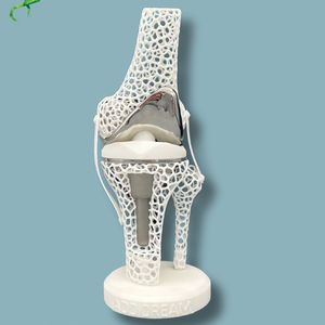 modello anatomico per ginocchio