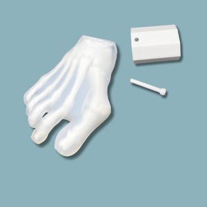 modello anatomico in kit