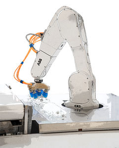 braccio robotizzato per imballaggi