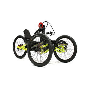 handbike elettrico