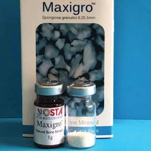 sostituto osseo xenotrapianto 1