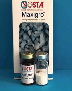 sostituto osseo xenotrapianto 1