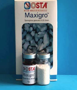 sostituto osseo xenotrapianto 1