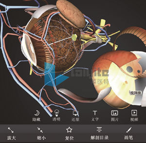 software di visualizzazione