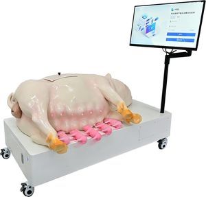simulatore veterinario