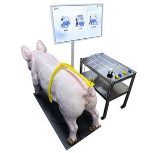 simulatore veterinario