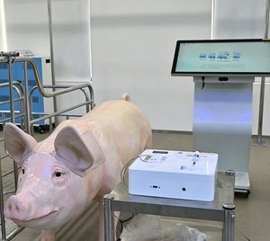 simulatore veterinario