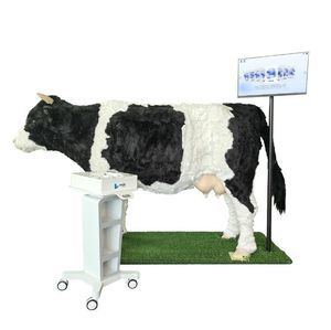 simulatore veterinario