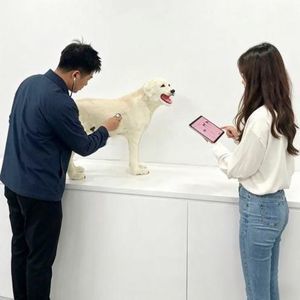 simulatore veterinario