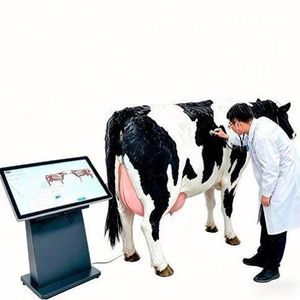 simulatore veterinario