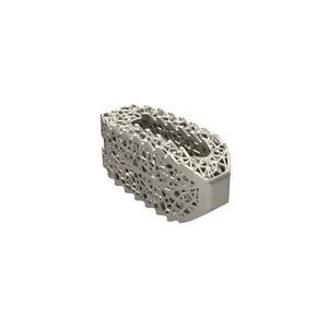 gabbia intersomatica lombare 1
