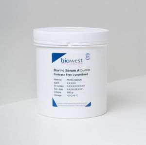 reagente albumina di siero bovino 1