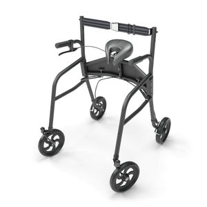 deambulatore rollator a 4 ruote