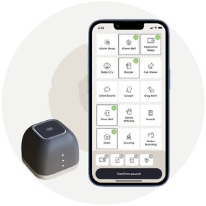 monitoraggio acustico assistito da AI