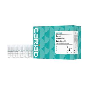 kit di test di fertilità 1