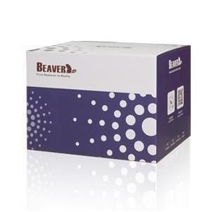 kit di reagenti a biglie magnetiche 1