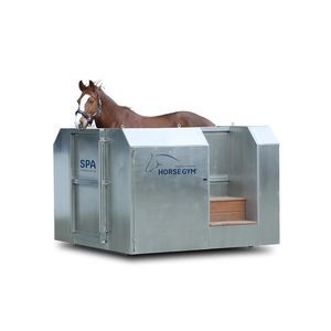 spa per animali per equini