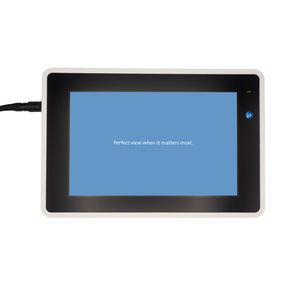 monitor per endoscopia