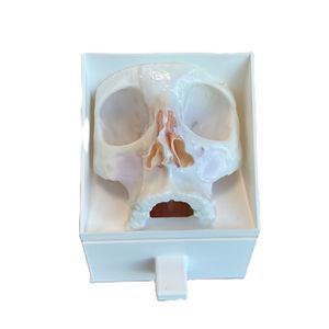 phantom per chirurgia