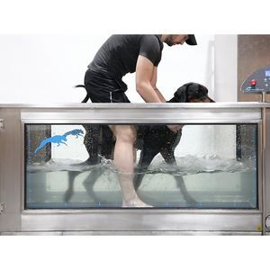 tapis roulant veterinario acquatico 1