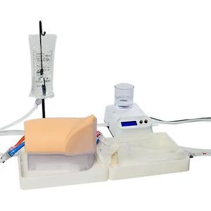 modello vascolare di arteria femorale