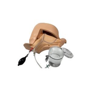 simulatore di anatomia